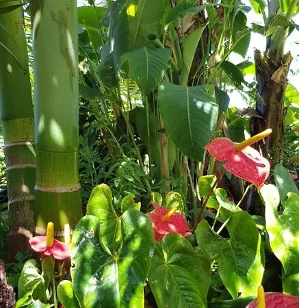 Elescondite Деревянный коттедж *