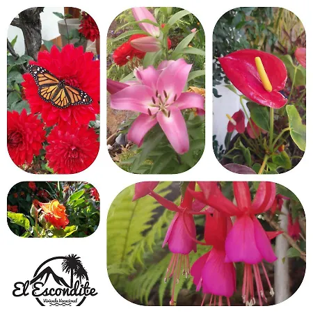 Elescondite Деревянный коттедж *