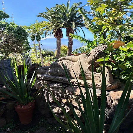 Деревянный коттедж Elescondite *