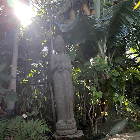 Lodge Elescondite Sauzal