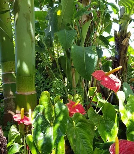 Elescondite Деревянный коттедж *