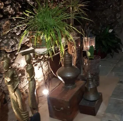 Orman Evi Elescondite El Sauzal